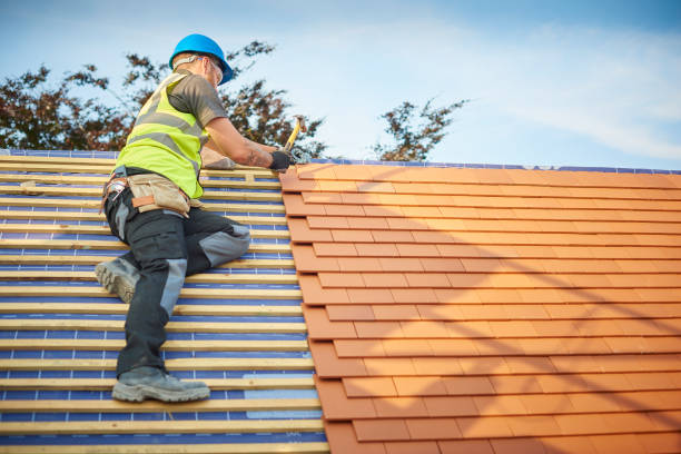 Best Gutter Installation and Repair  in Rogue River, OR